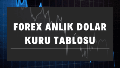 Forex Anlık Dolar Kuru Tablosu