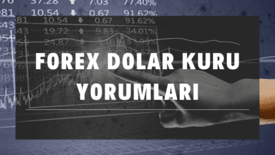 Forex Dolar Kuru Yorumları